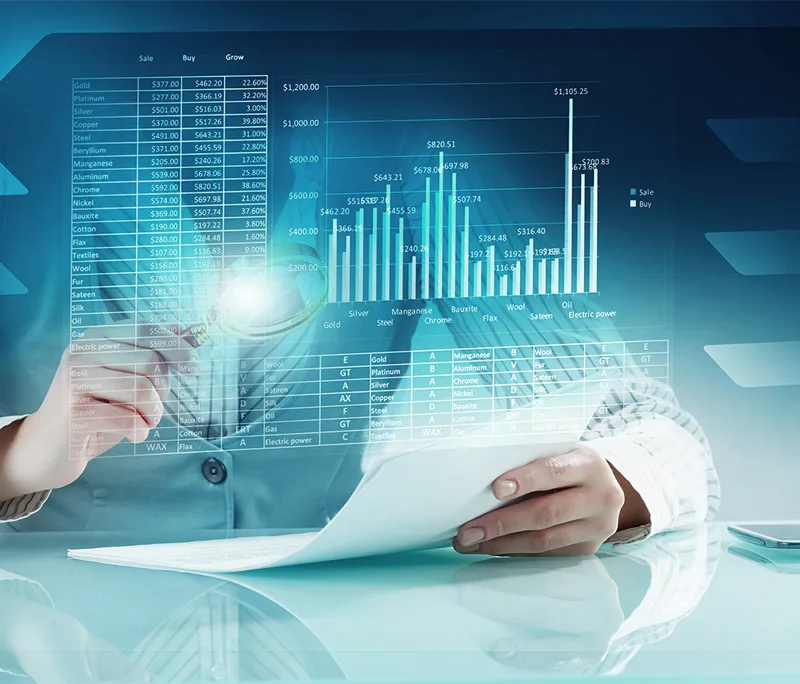 Infringement-Investigation infringement-investigation